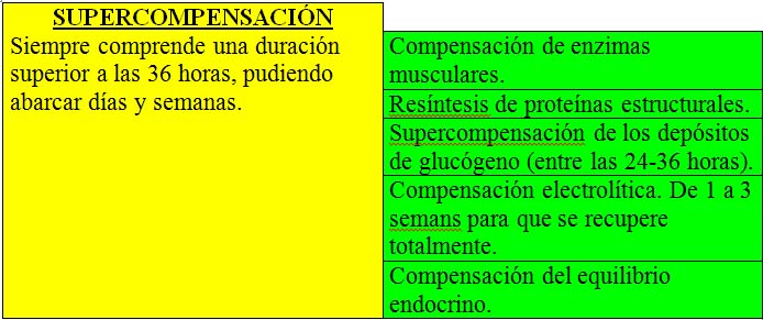 Fase Supercompensación Descanso