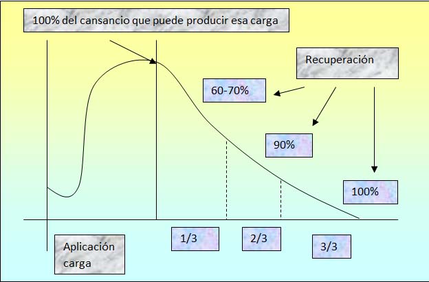 Recuperación y Descanso Carga