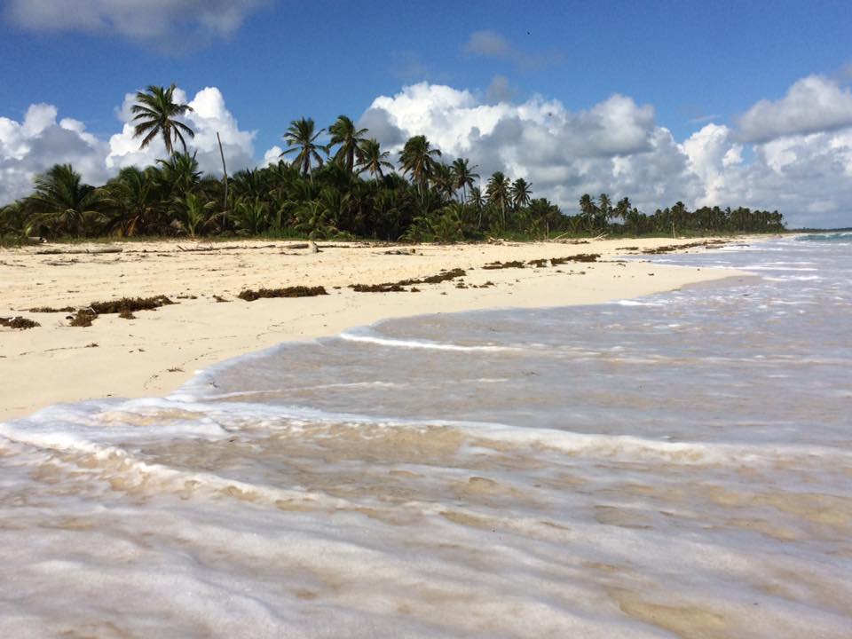 Playa virgen Hotel Hard Rock & Casino Punta Cana