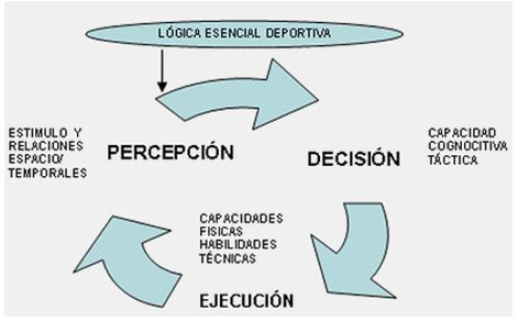 Modelo de Fútbol Formativo basado en los Mecanismos Percepción ...